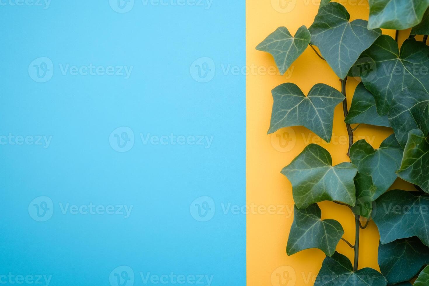 Ivy on a vibrant background, top view photorealistic plant photo