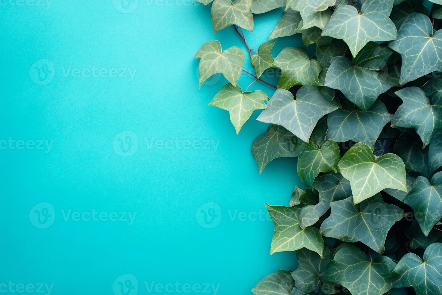 Ivy on a vibrant background, photorealistic top view Ivy flower photo