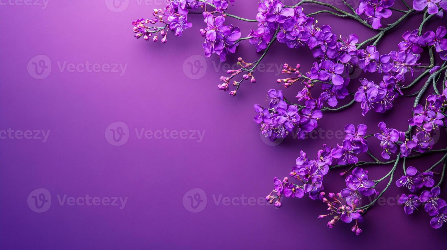 Jacaranda on a vibrant background, top view photorealistic plant photo