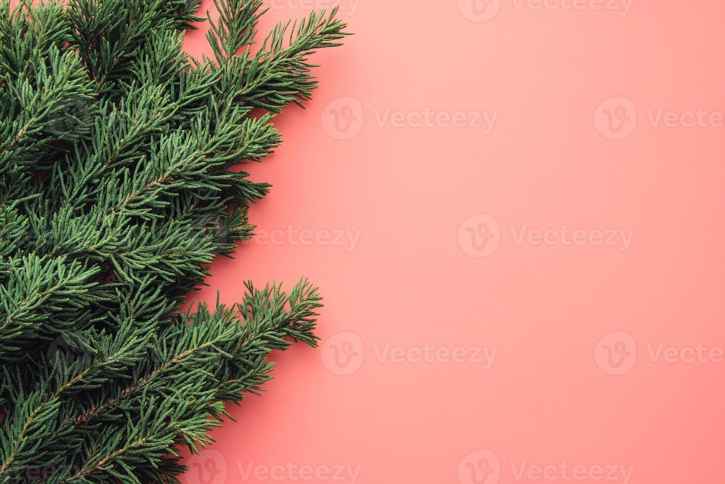 Japanese Cedar on a vibrant background, photorealistic top view Japanese Cedar plant photo