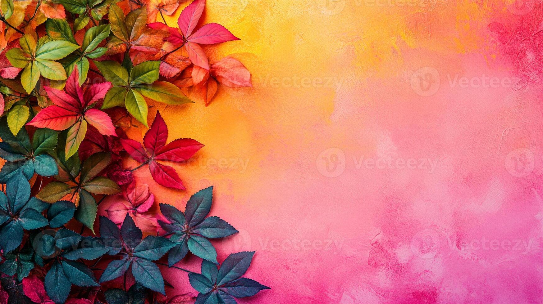Top view Japanese Maple on a vibrant background, plant setting photo