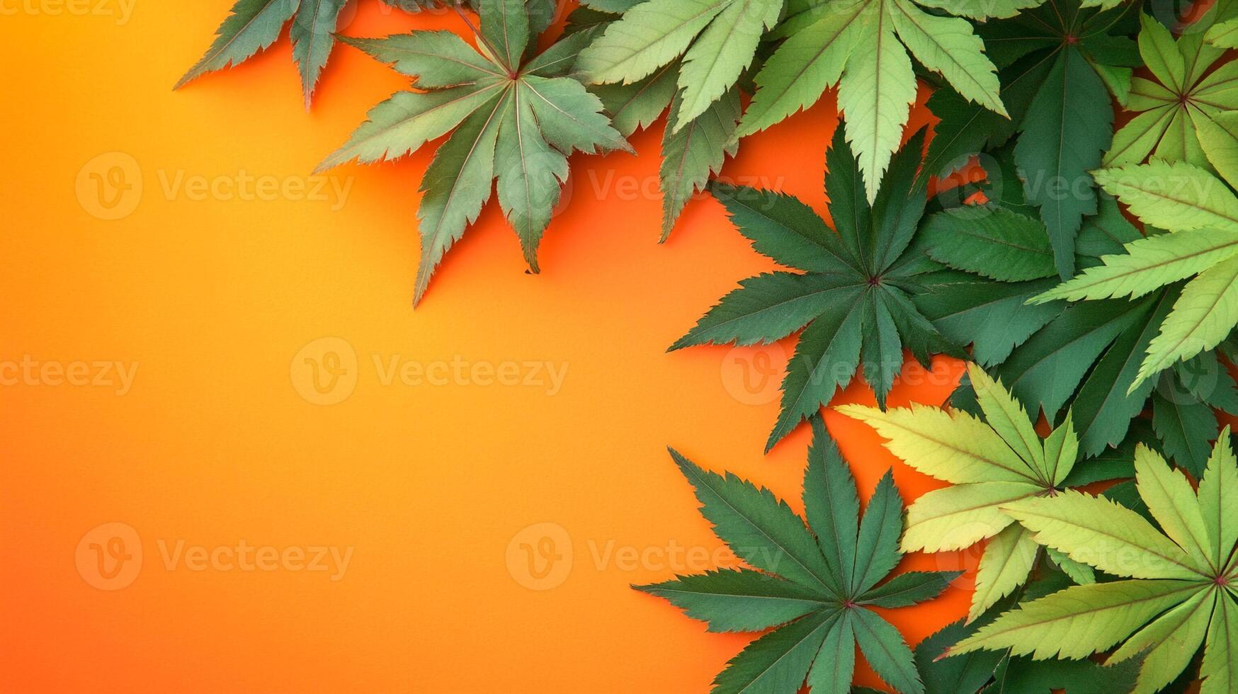 Japanese Maple on a vibrant background, top view photorealistic plant photo