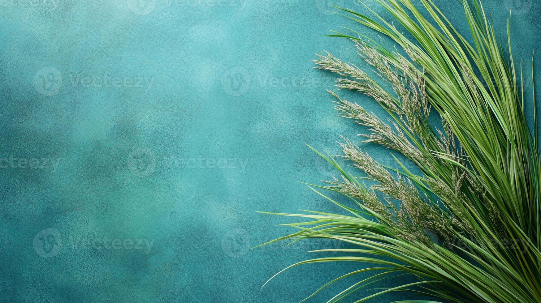 Juncus on a vibrant background, photorealistic top view Juncus plant photo