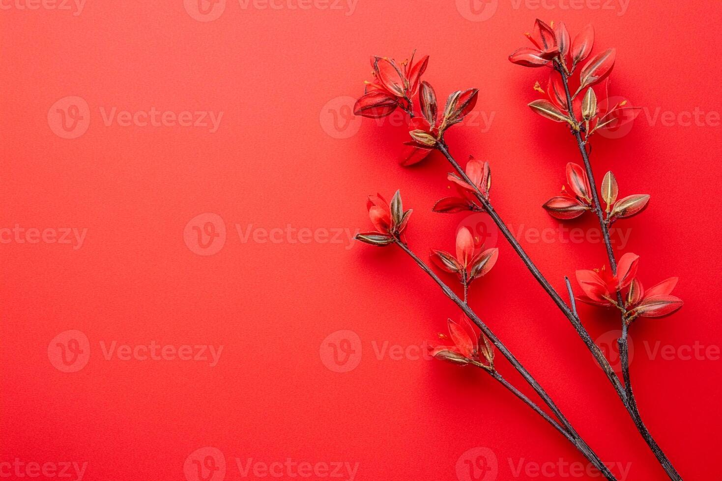 Top view photorealistic Kangaroo Paw, flower set on a vibrant background photo