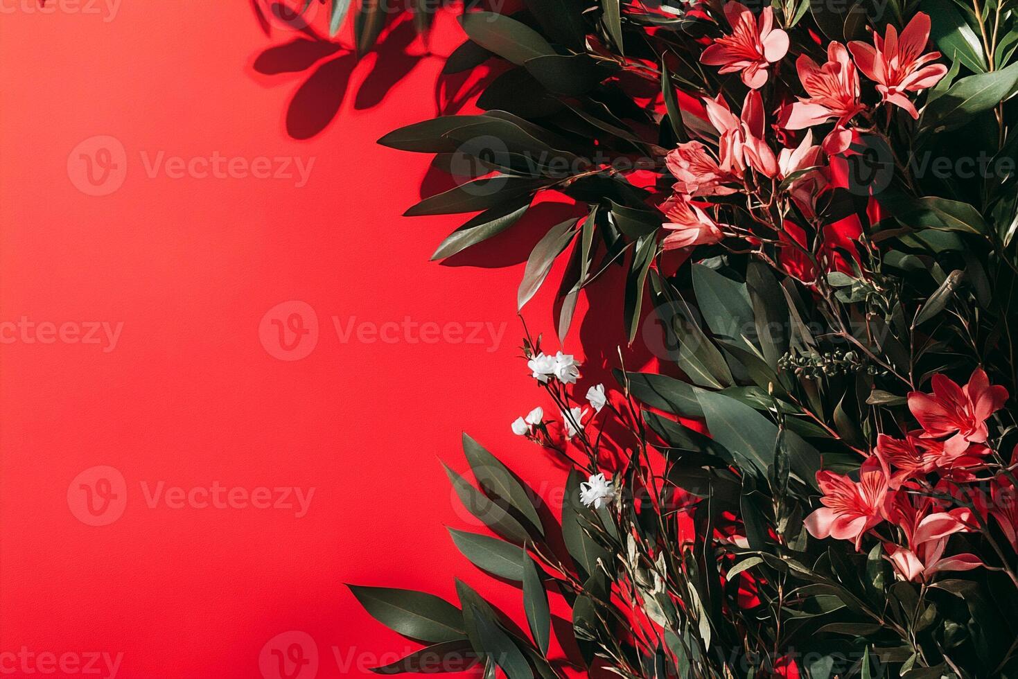 Kangaroo Paw on a vibrant background, photorealistic top view Kangaroo Paw plant photo