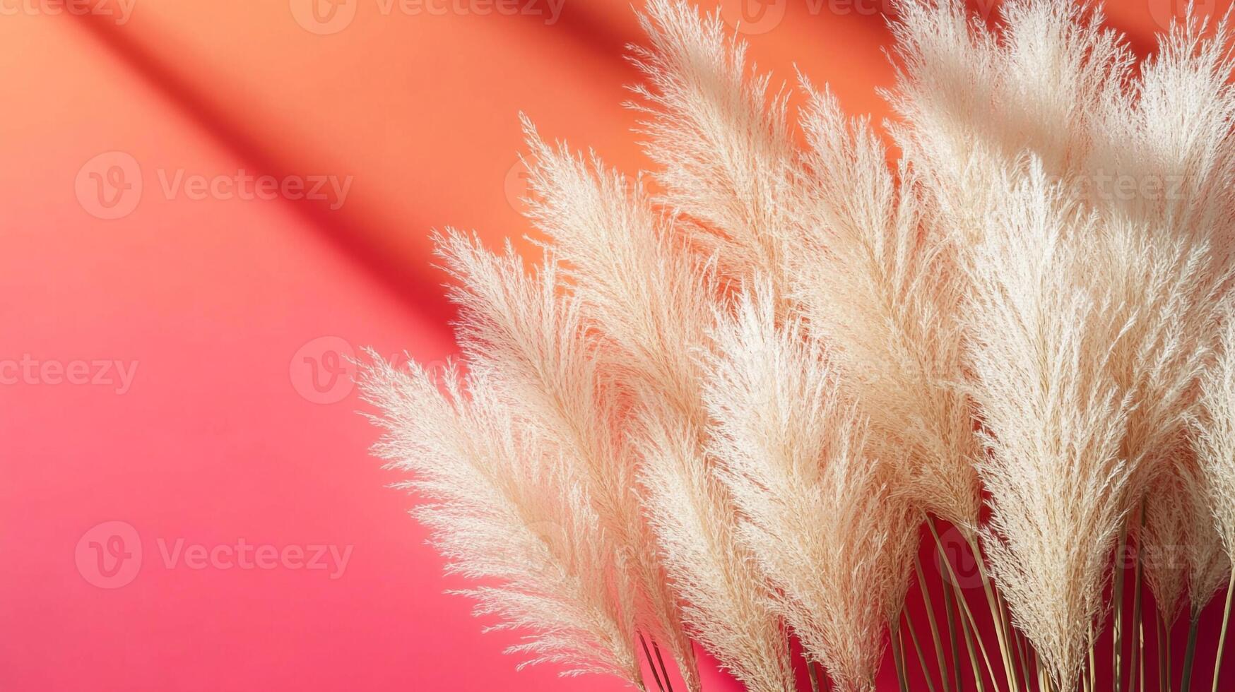 Muhly Grass on a vibrant background, photorealistic top view Muhly Grass plant photo
