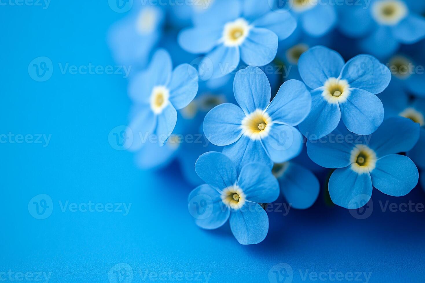 Top view photorealistic Myosotis, flower set on a vibrant background photo
