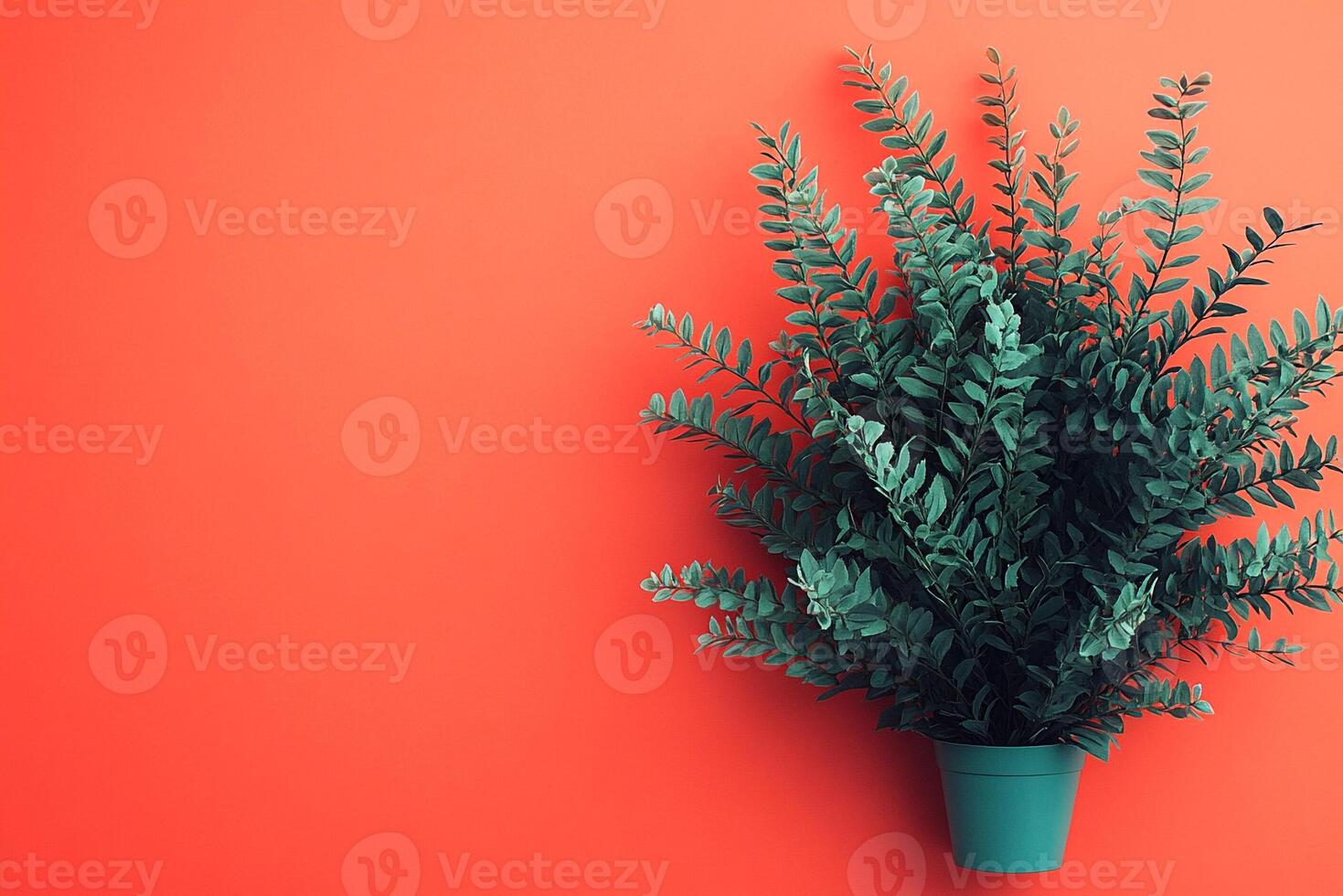 Top view photorealistic Nephrolepis exaltata, plant set on a vibrant background photo