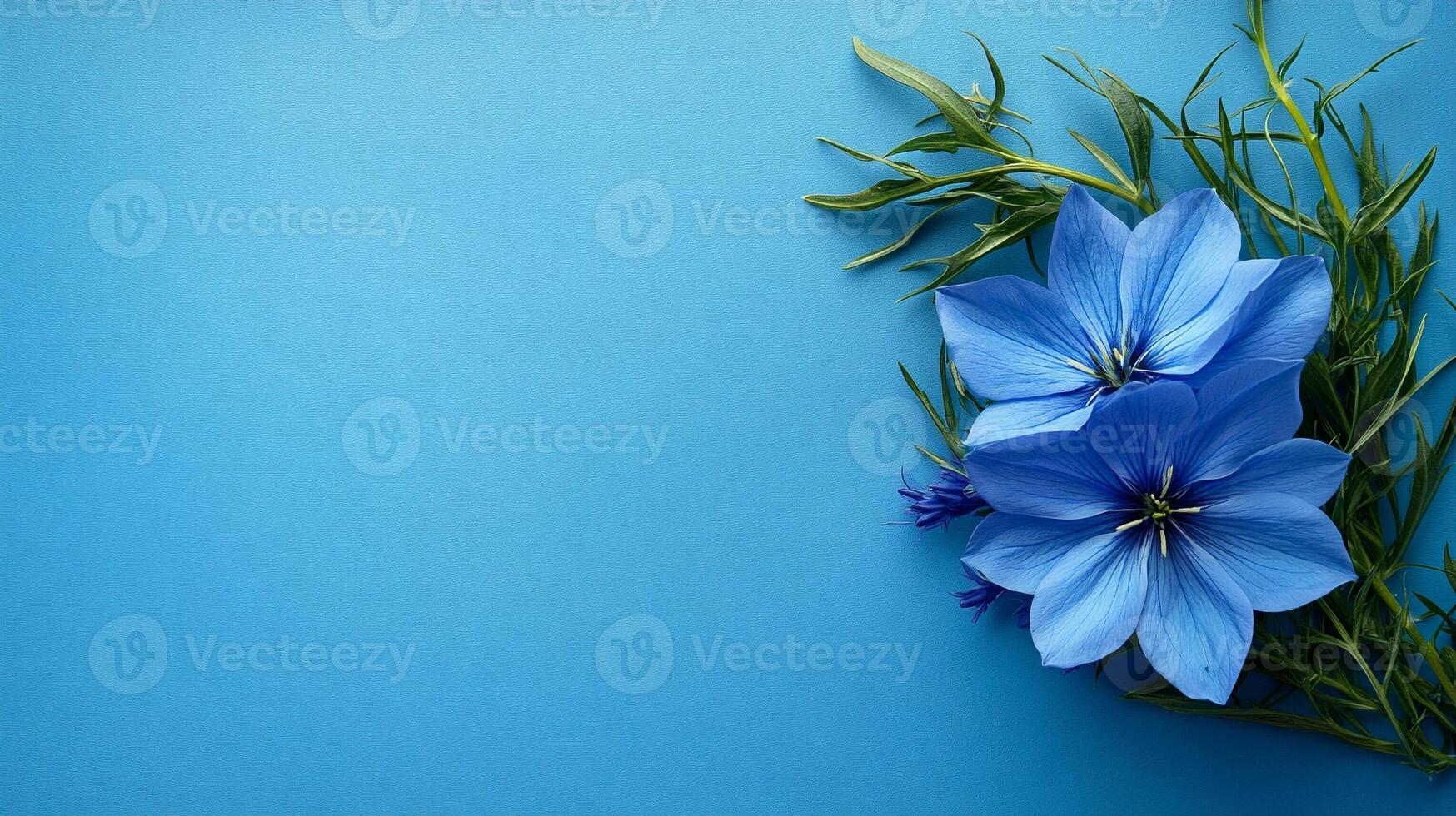 Nigella on a vibrant background, top view photorealistic flower photo