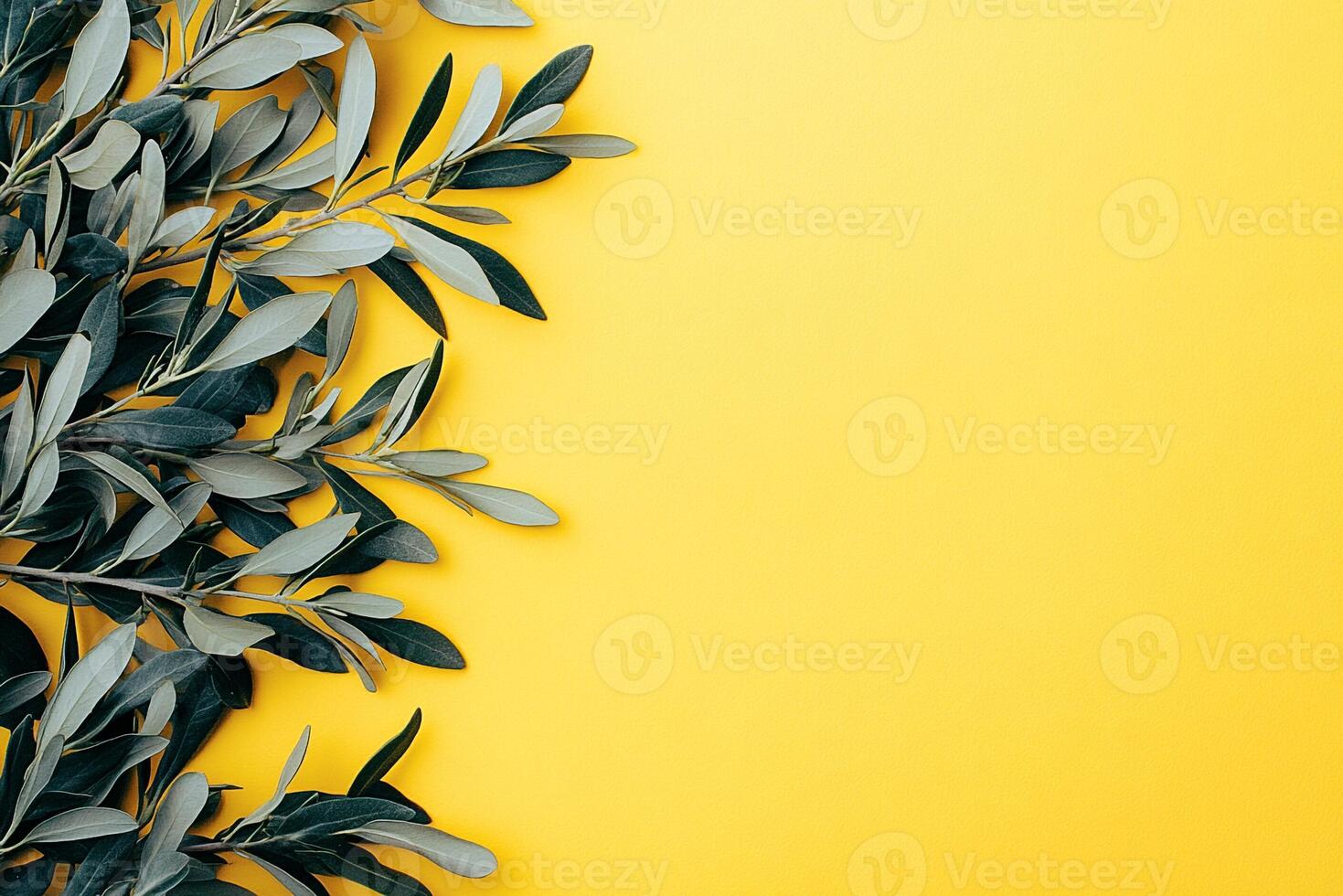 Olea europaea on a vibrant background, top view photorealistic plant photo