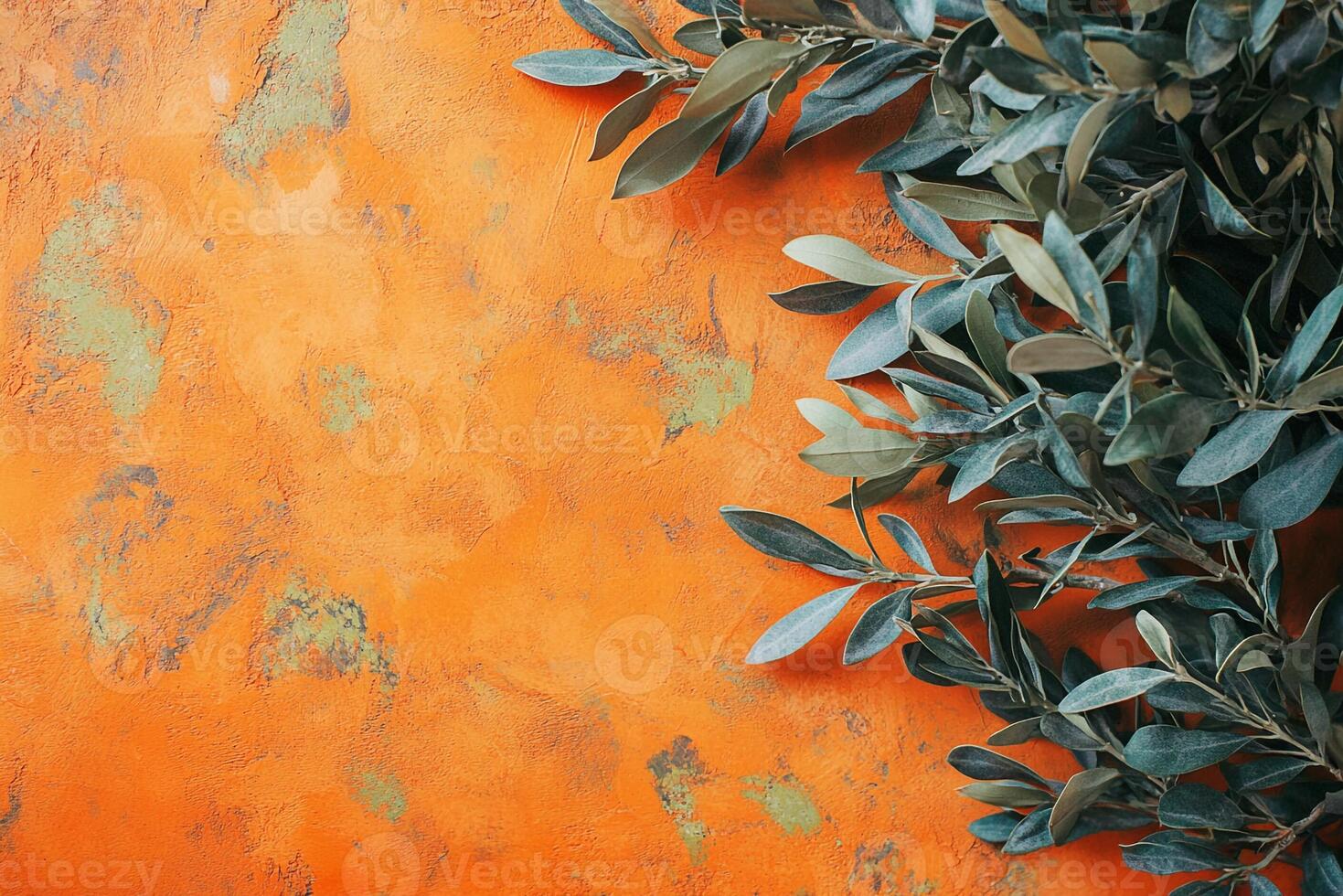 Top view Olive Tree on a vibrant background, plant setting photo