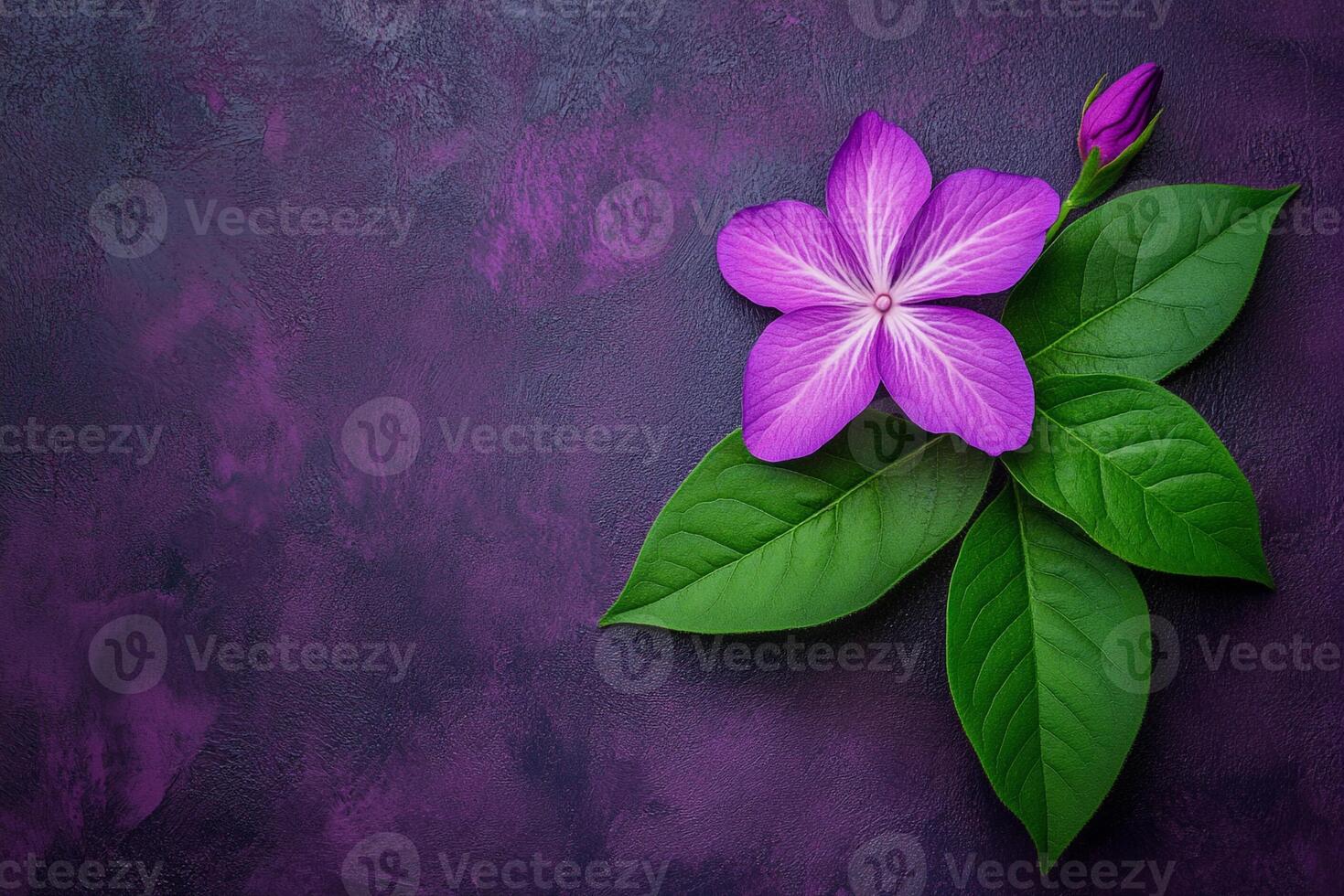 Pinks rock garden varieties on a vibrant background, photorealistic top view Pinks rock garden varieties plant photo