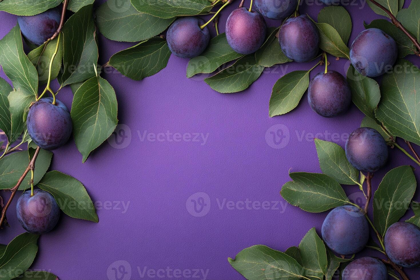 Top view photorealistic Plum Tree, plant set on a vibrant background photo