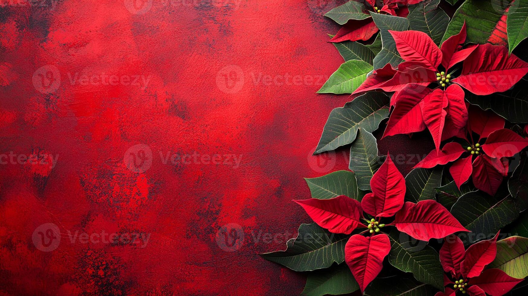 Poinsettia on a vibrant background, photorealistic top view Poinsettia plant photo
