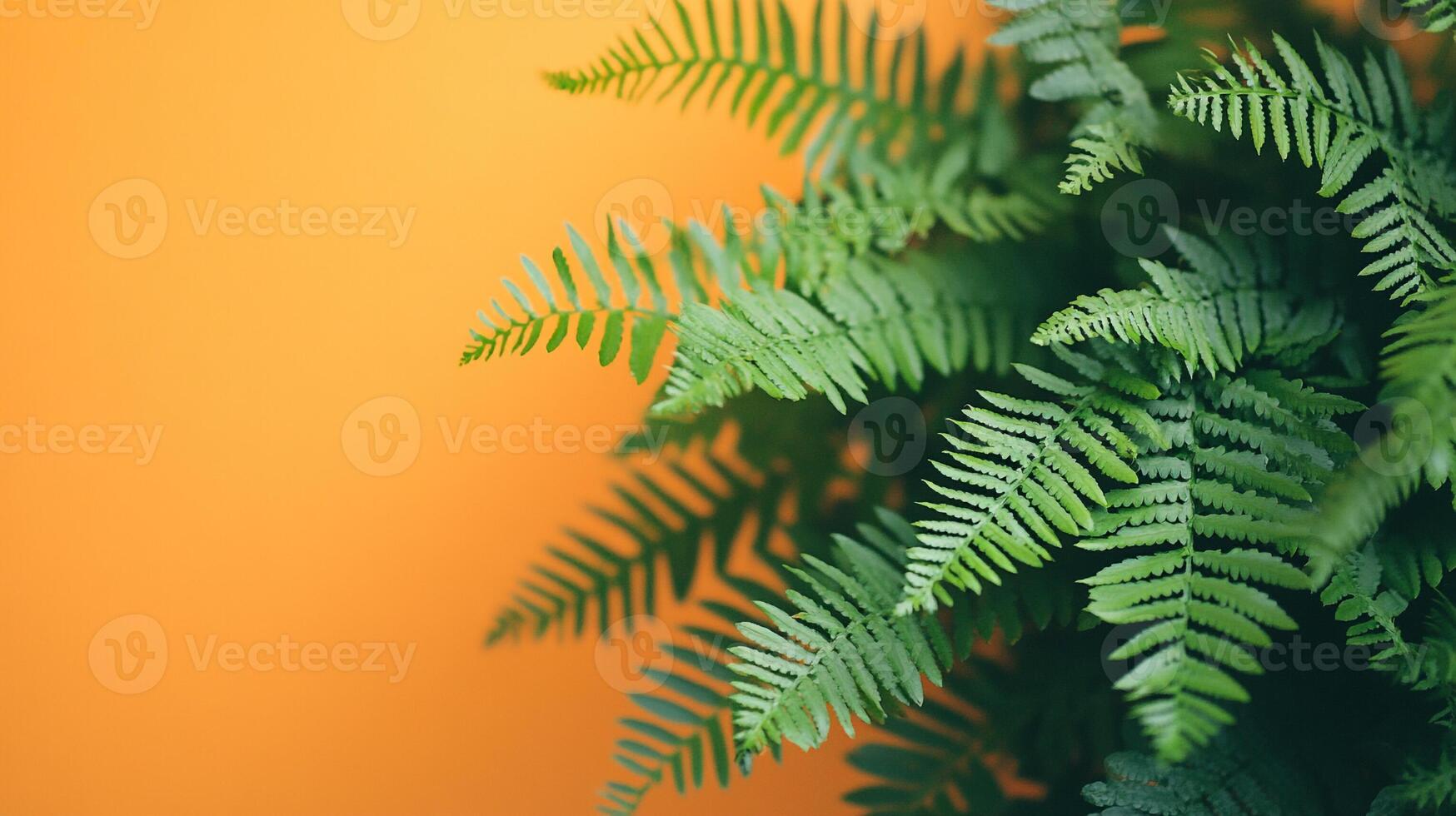 Polystichum on a vibrant background, top view photorealistic plant photo