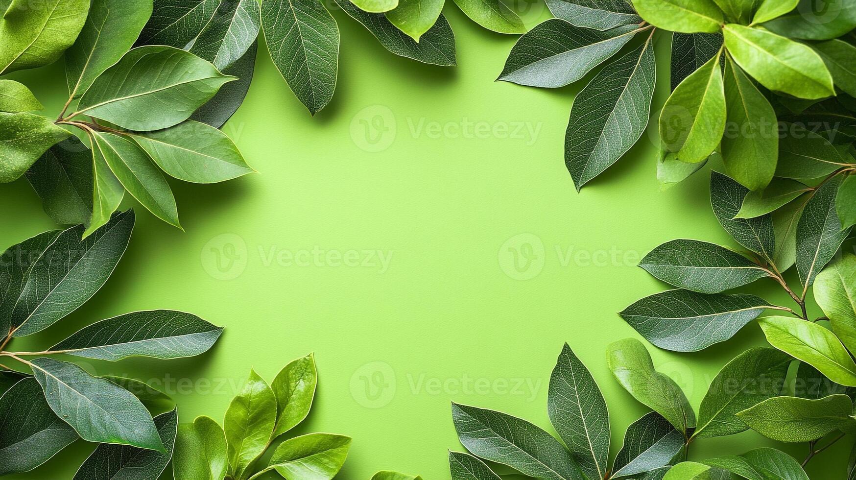 Sassafras on a vibrant background, photorealistic top view Sassafras plant photo