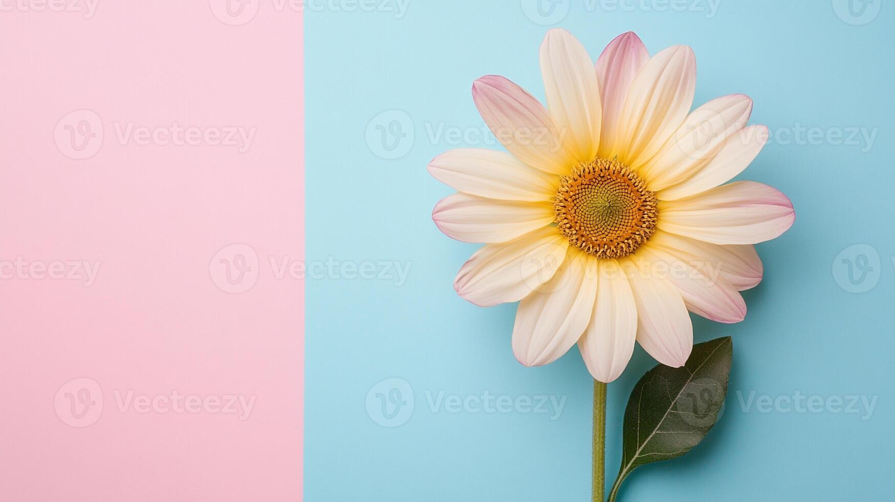 Top view photorealistic Sunflower, flower set on a vibrant background photo
