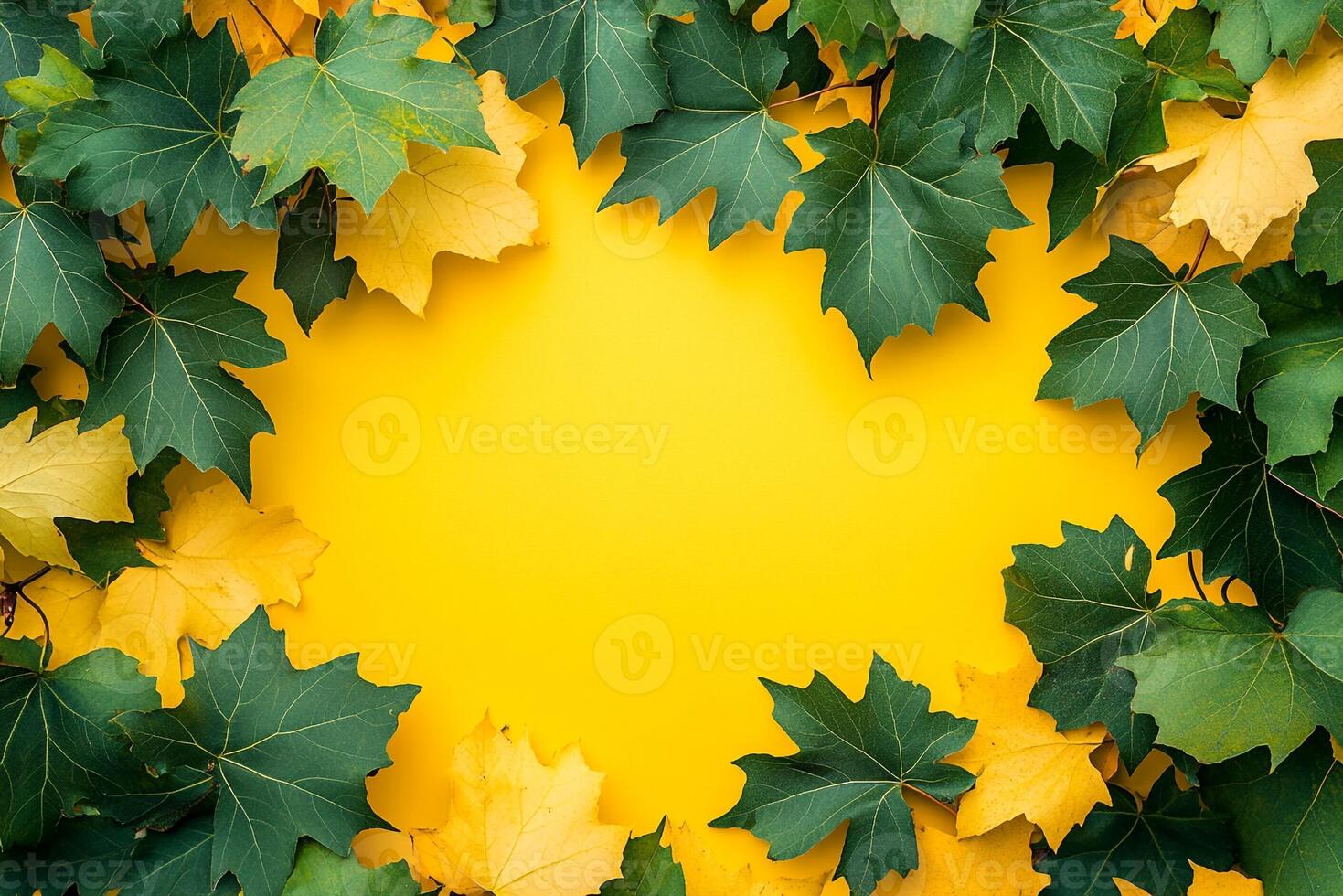 Top view photorealistic Sycamore, plant set on a vibrant background photo