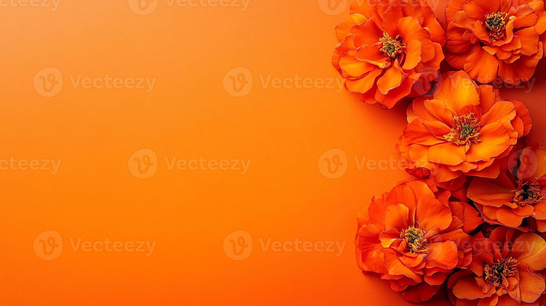 Top view photorealistic Tagetes, flower set on a vibrant background photo