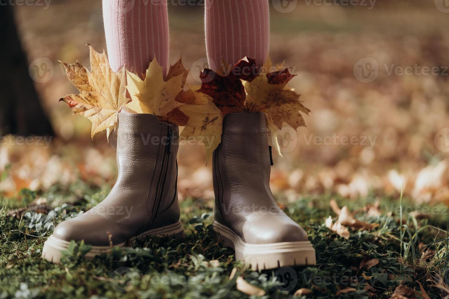Stylish Boots with Autumn Leaves. Beige autumn boots decorated with golden maple leaves paired with pink striped socks standing on green moss under soft sunlight evoking cozy childhood fashion and photo