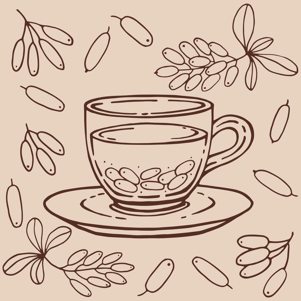 Set with glass cup tea, barberry. Hand drawn illustration in outline style vector