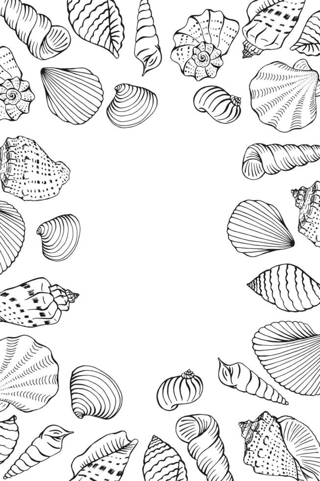 Frame with seashells Hand drawn illustration vector