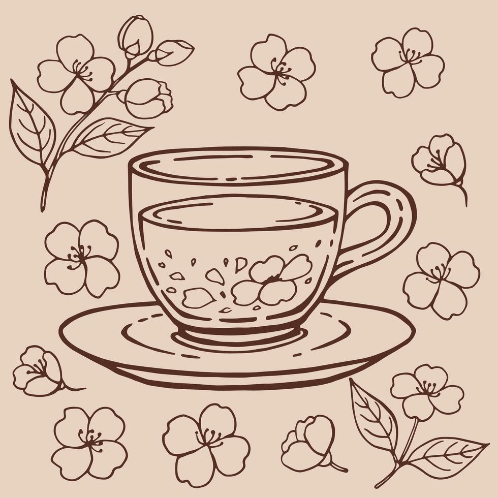 Set with glass cup tea, jasmine. Hand drawn illustration in outline style vector