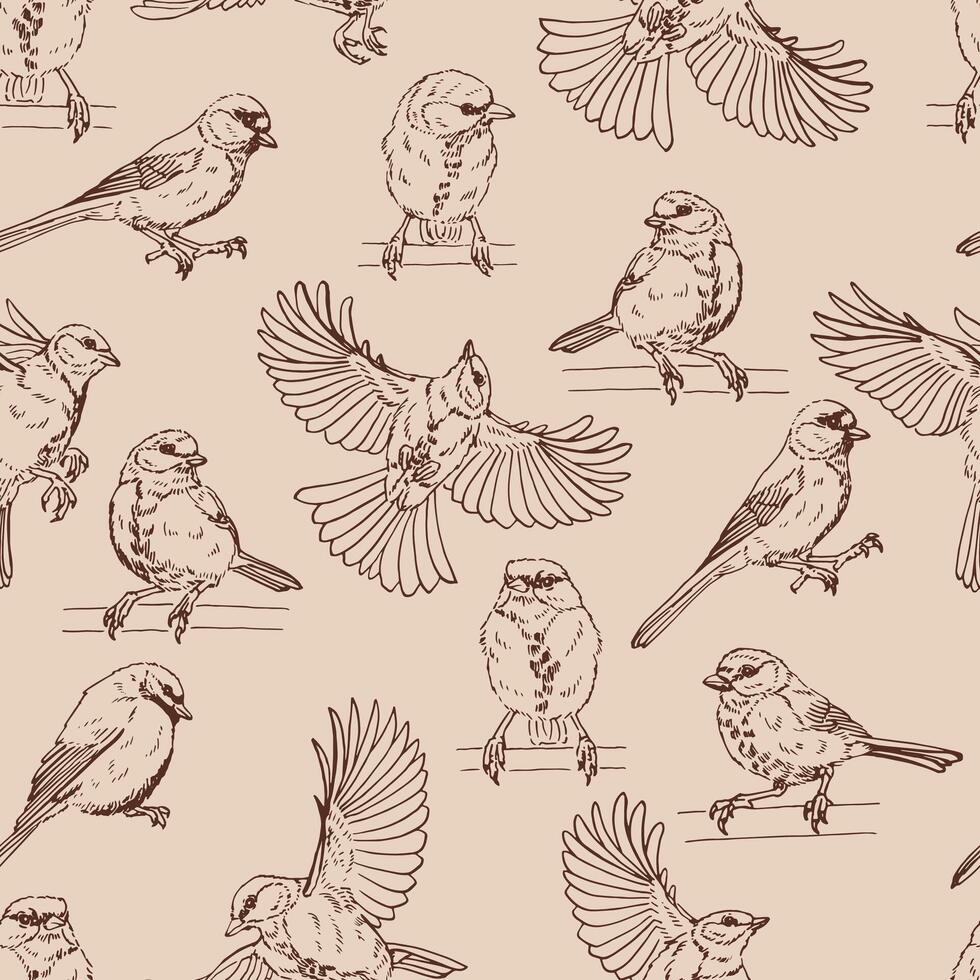 Seamless pattern with titmouse. Hand drawn illustration vector