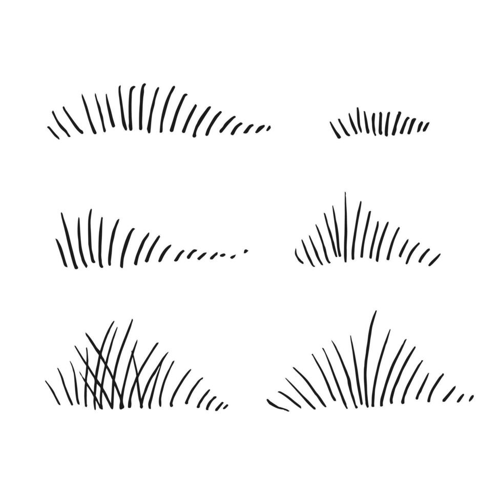 Grass. Hand drawn illustration. vector