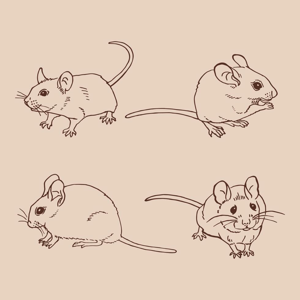 Set of mouse. Hand drawn illustration ink style vector