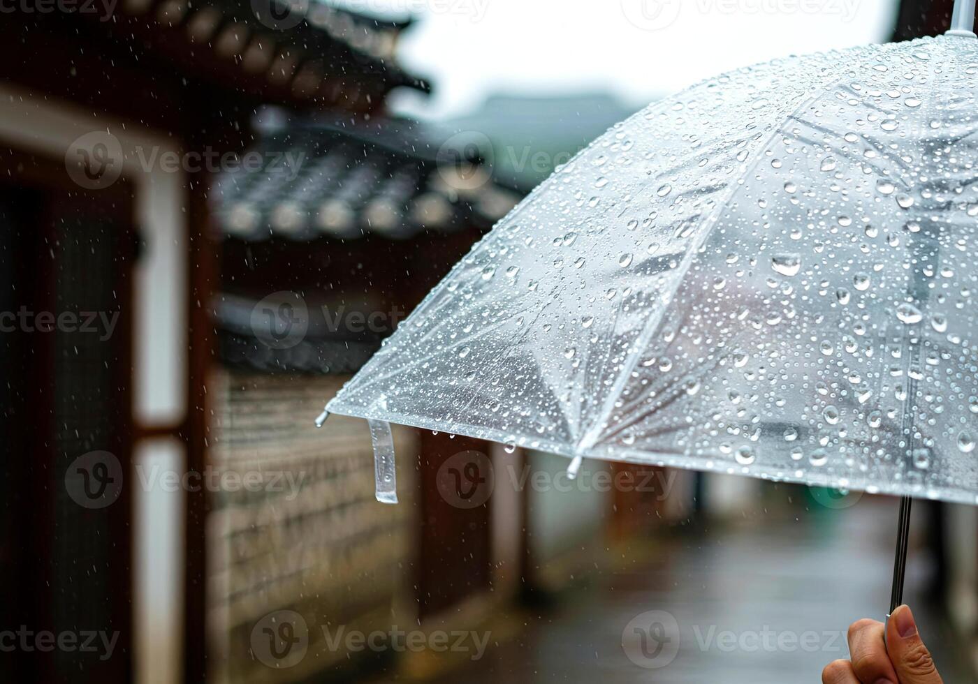 Raindrop Details on Umbrella, with blurred background photo