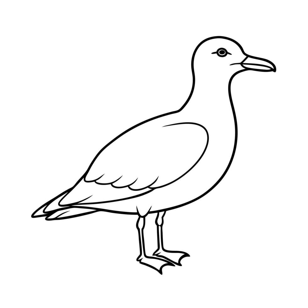 Grey Gull Drawing Line Art vector