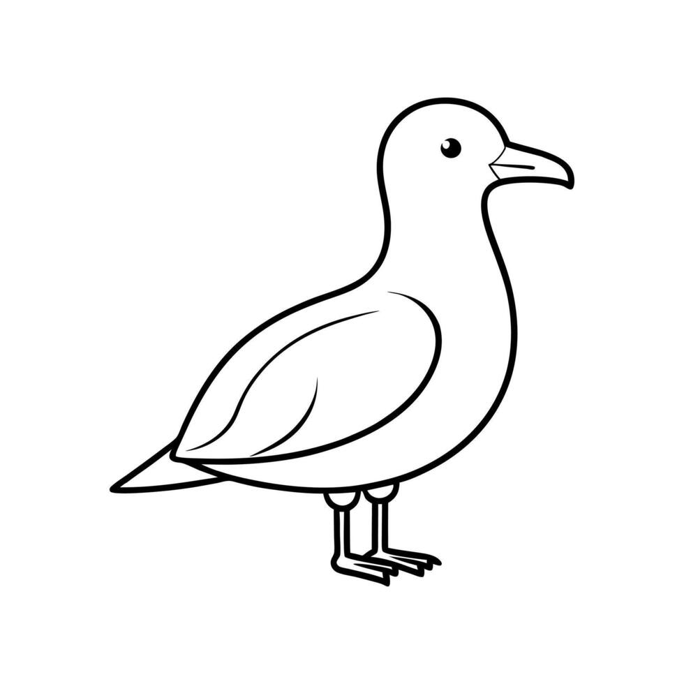 Grey Gull Bird Line Drawing vector