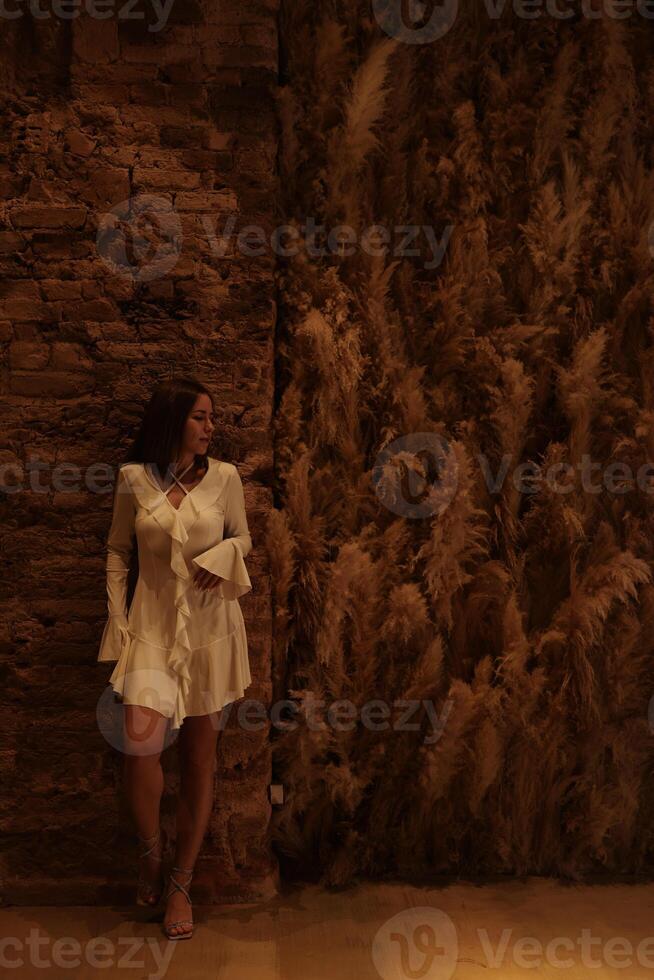An Elegant Fashion Model is Posing Gracefully in a Stunning Artistic Environment photo