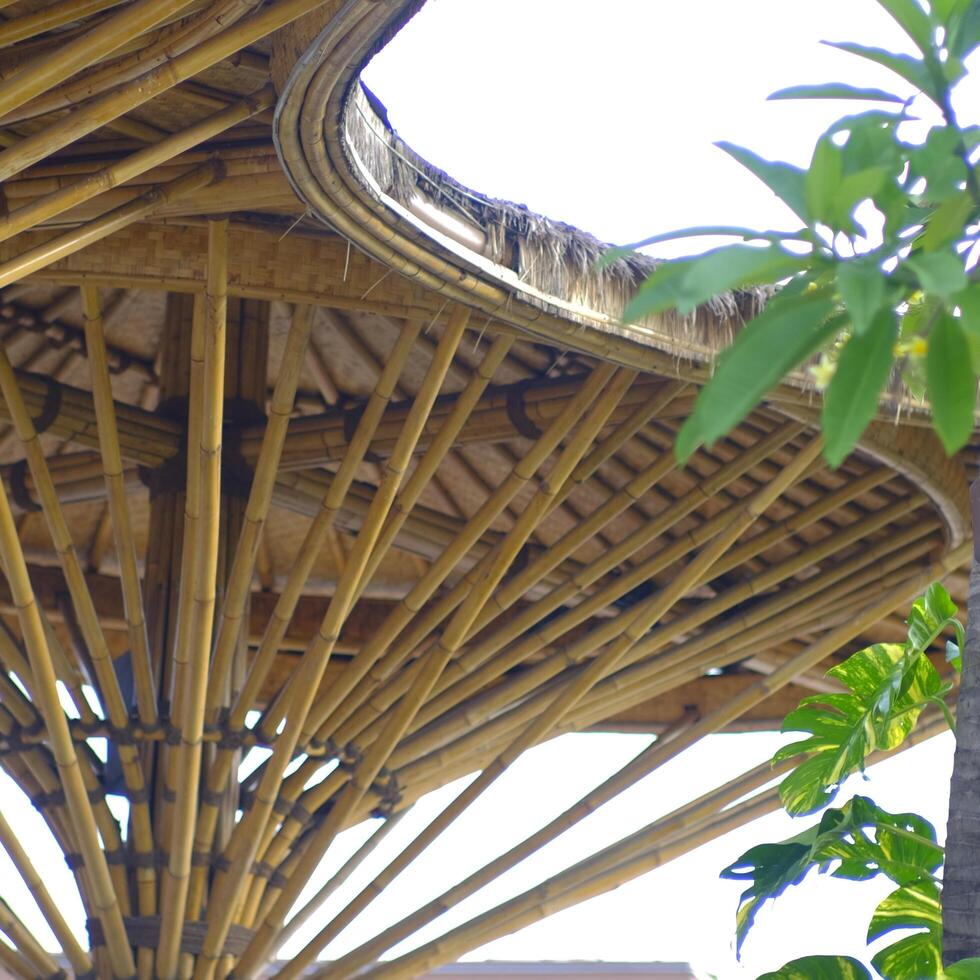 a bird sitting on a bamboo structure nobleseed photo