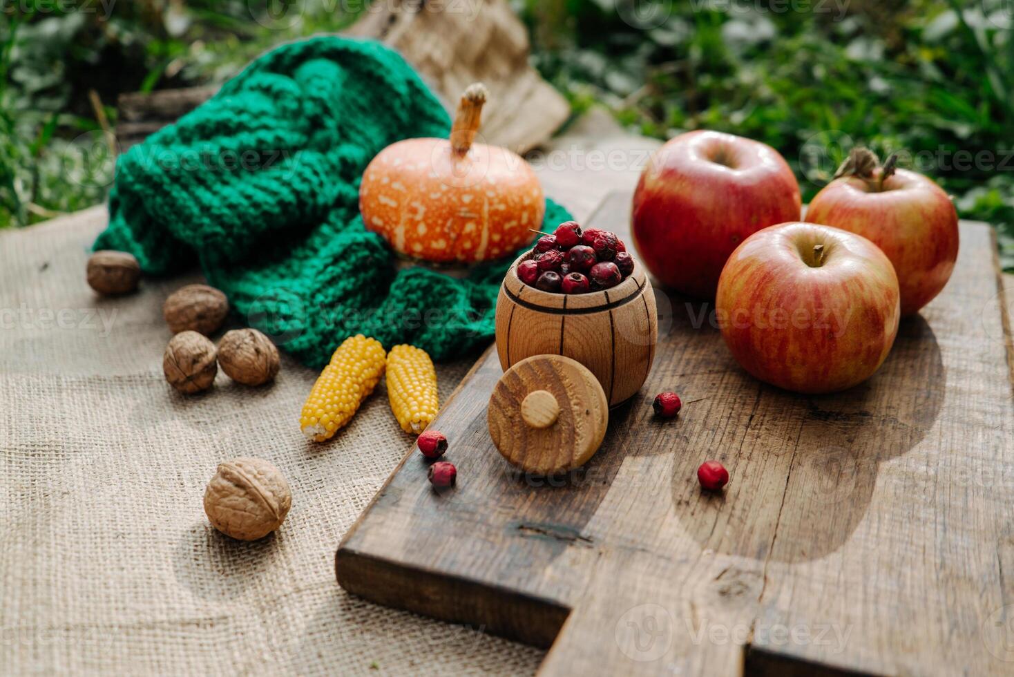 autumn harvest, pumpkin, nuts, apples, corn, red berries on a wooden board in the garden photo
