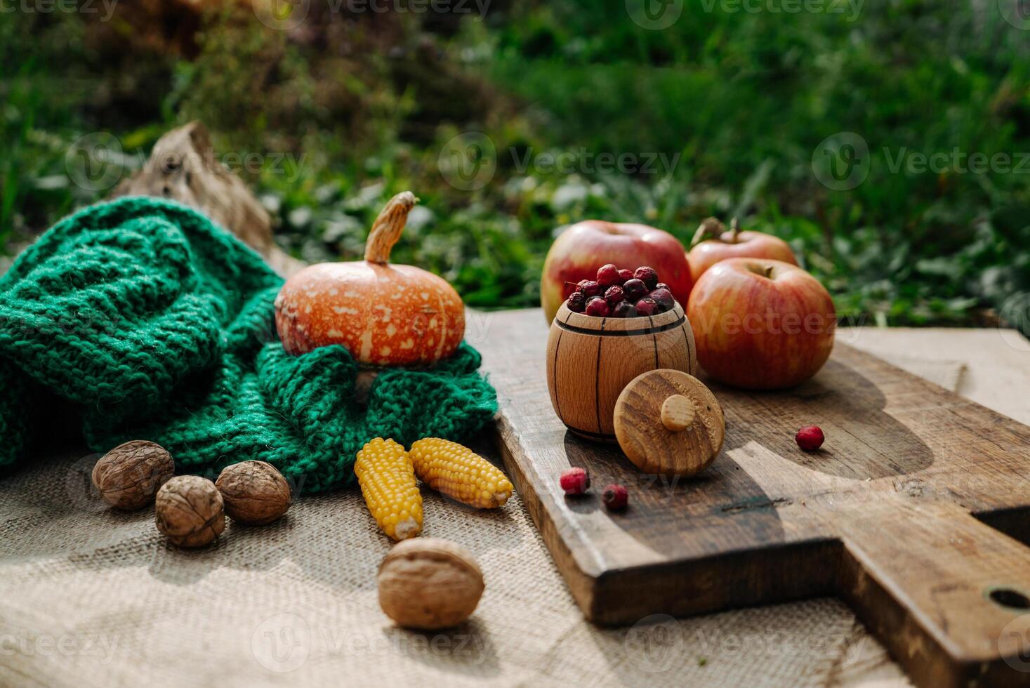 autumn harvest, orange pumpkin, nuts, corn, red berries and apples lie in the garden on a tablecloth photo