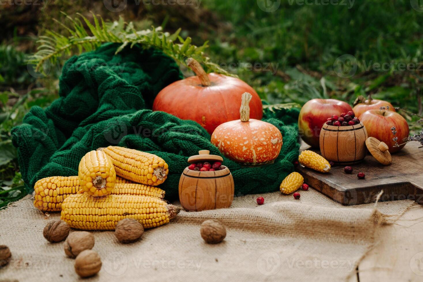 autumn harvest, corn, orange pumpkin, apples, nuts, red berries on a brown wooden board photo