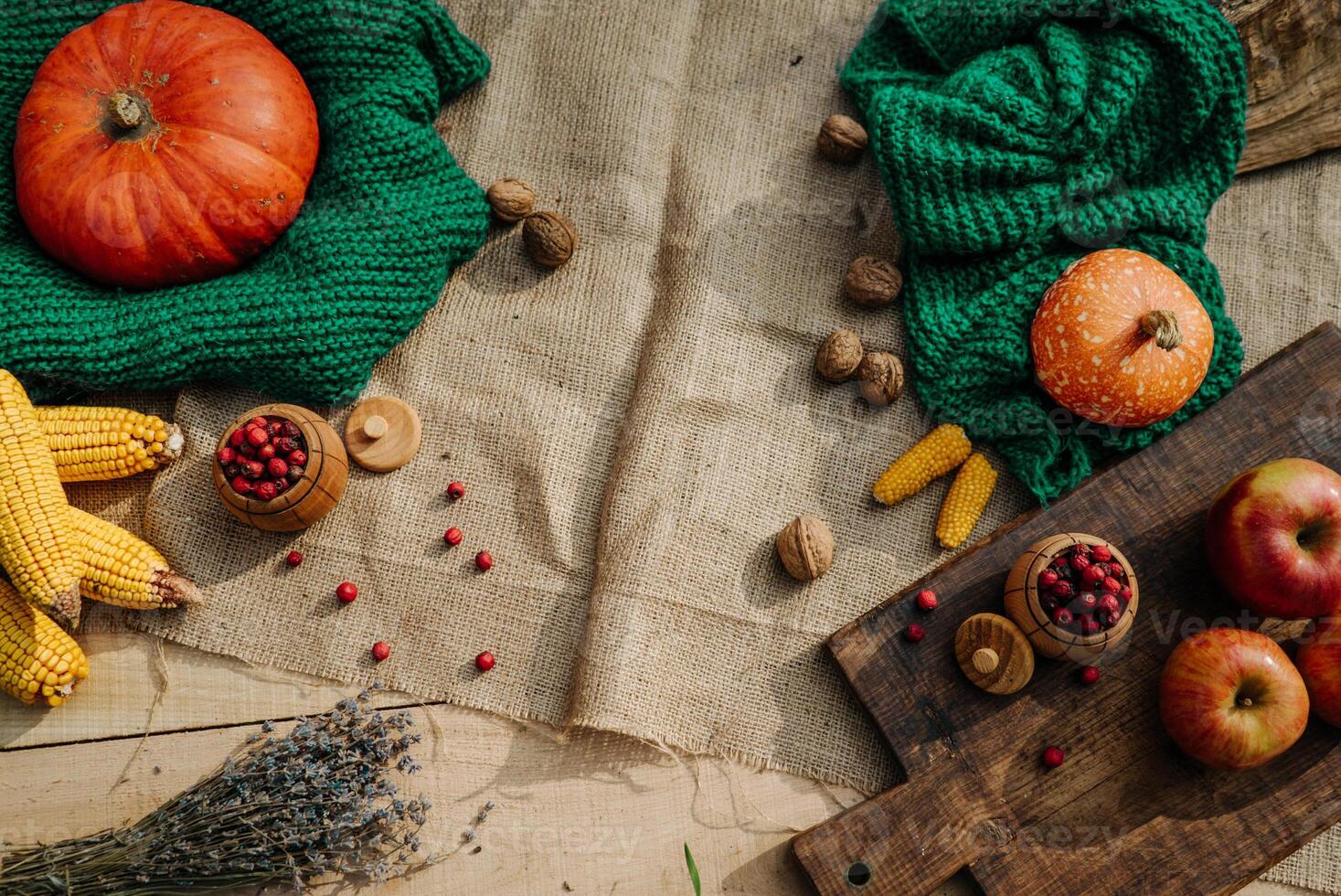 autumn harvest, pumpkin, nuts, apples, corn, red berries, lavender photo