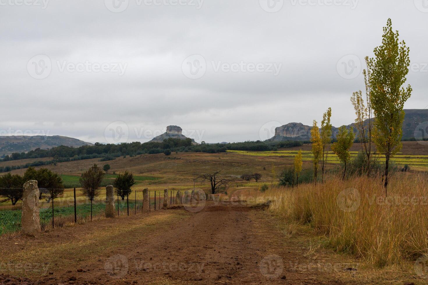 Farm Road in the Free State photo
