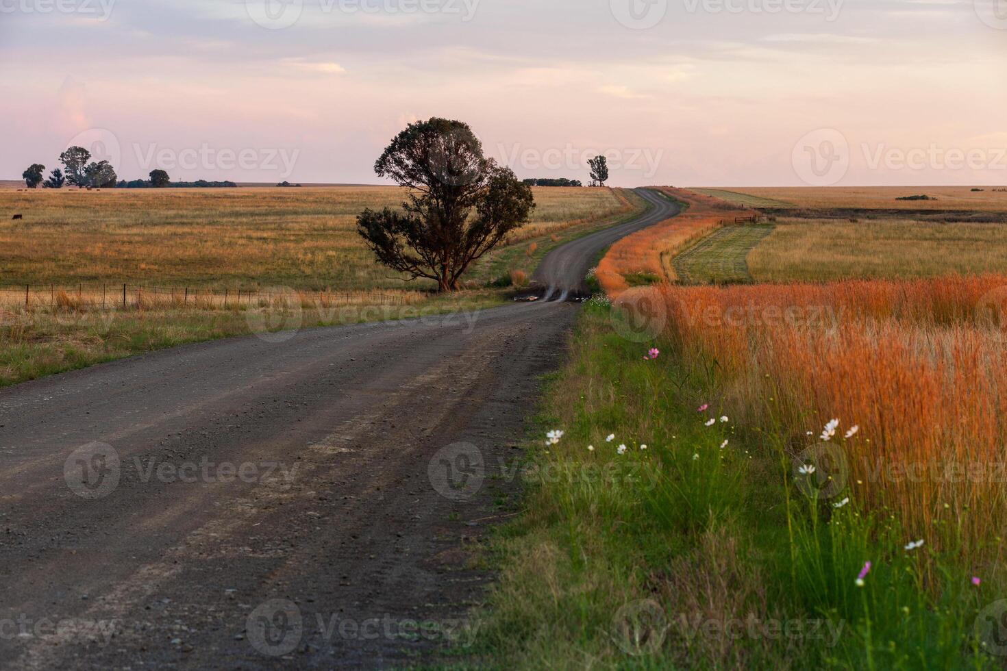 Free State gravel road photo