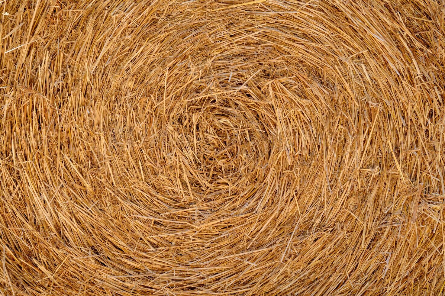 Close-Up of Straw Bale Texture for Background photo