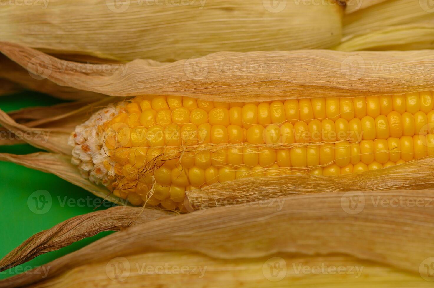 Hot Baked Corn Cobs Fresh from Oven photo