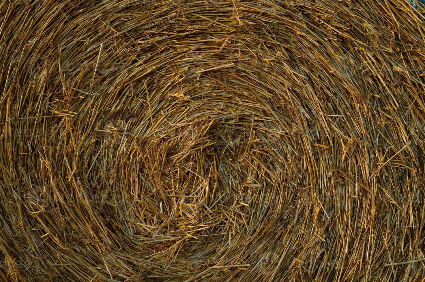 Close-up of Straw Bale Texture photo