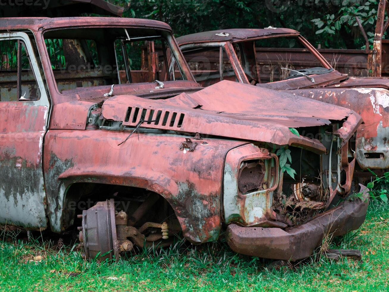old car is sitting in a grassy field photo