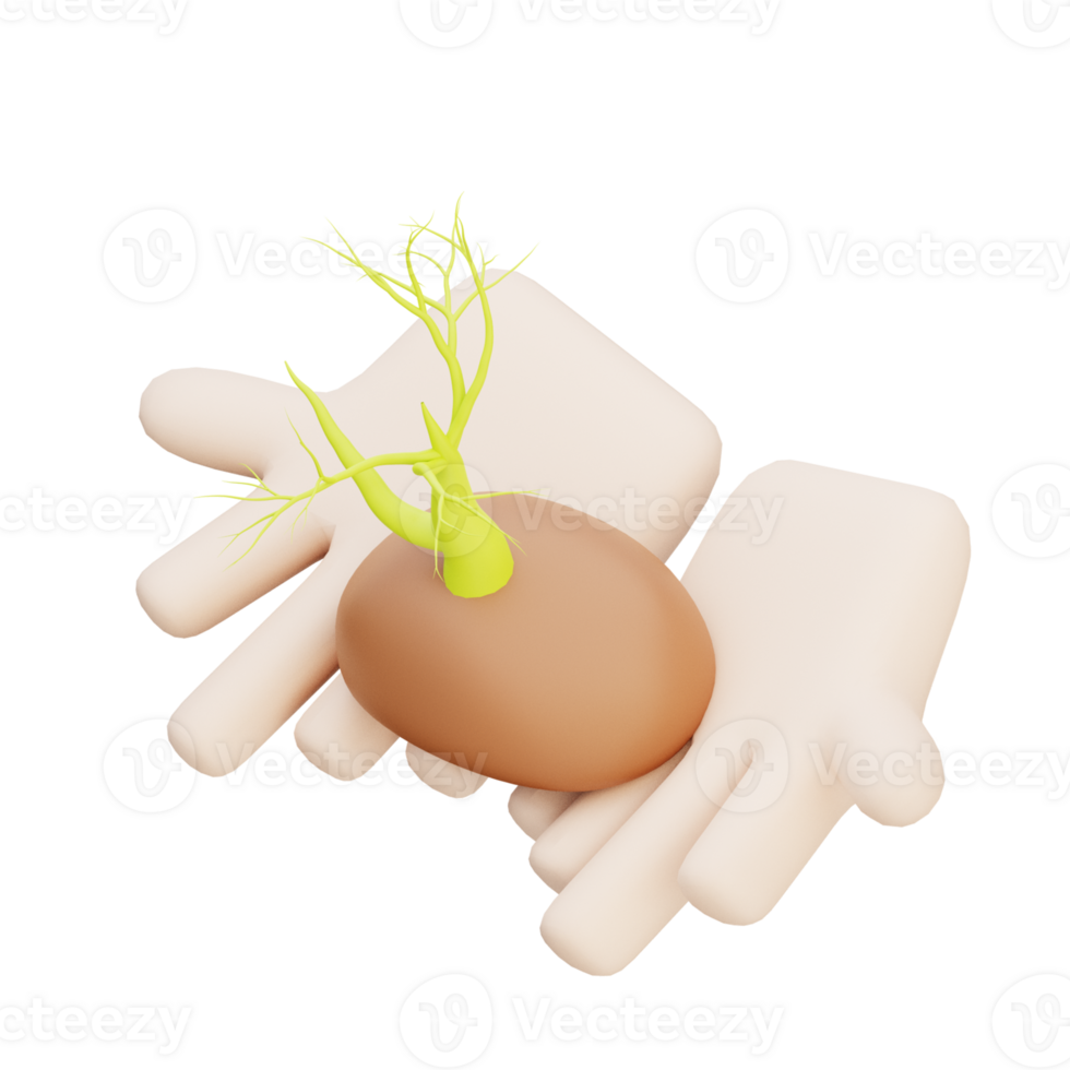 3D Planting Illustration Icon Render png