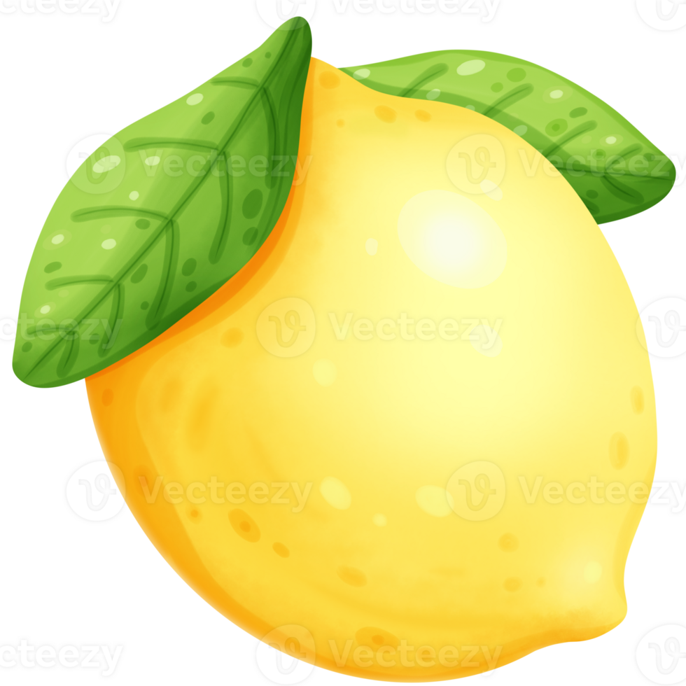 lemon and leaf png