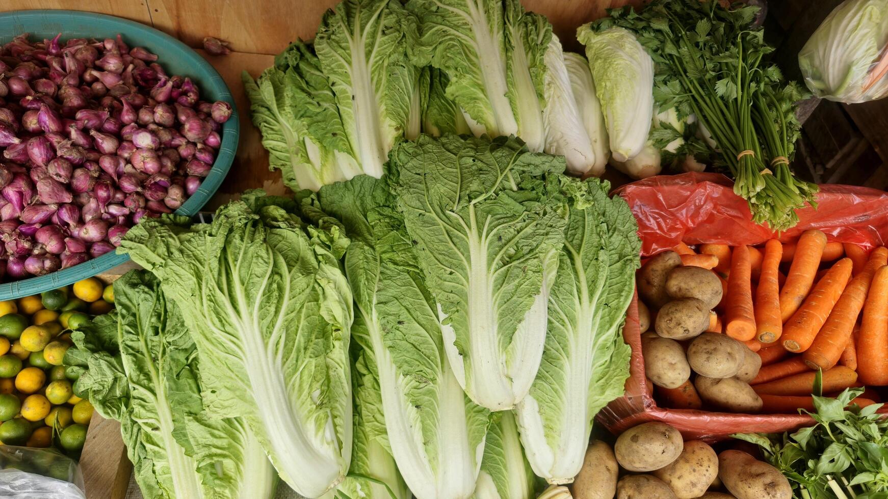 Fresh Vegetables Still Life - Cabbage, Carrots, Onions, Potatoes photo