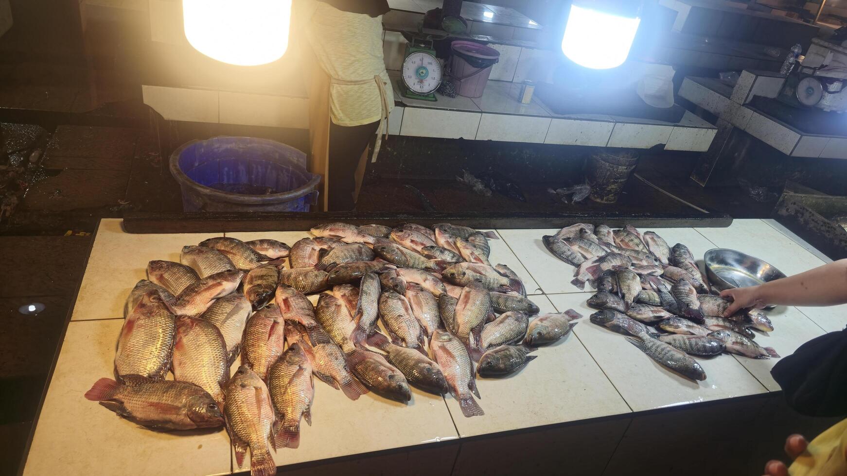 Fresh Fish Displayed on Table at Market photo