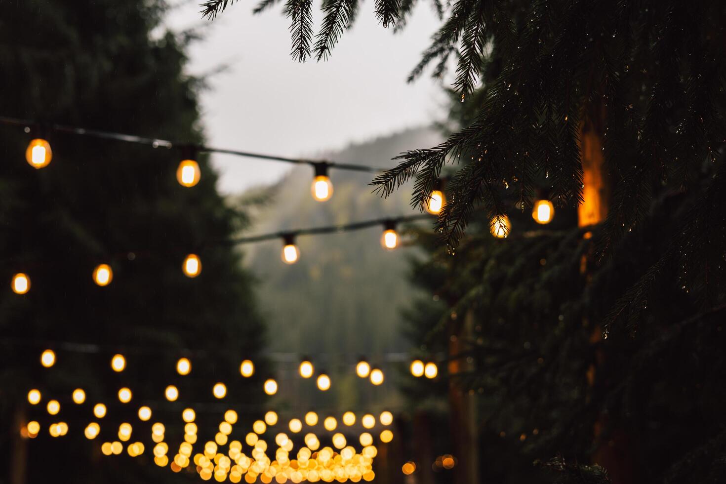 A beautiful forest scene, adorned with warm string lights, creates a cozy atmosphere. Warm string lights illuminate a beautiful forest scene on a foggy day. Evoking a cozy and inviting atmosphere. photo